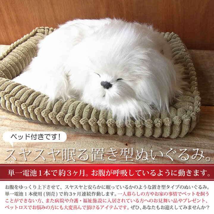 楽天市場 パーフェクトペット マルチーズ ぬいぐるみ 犬 いぬ イヌ リアル 本物 そっくり ニニアンドキノ