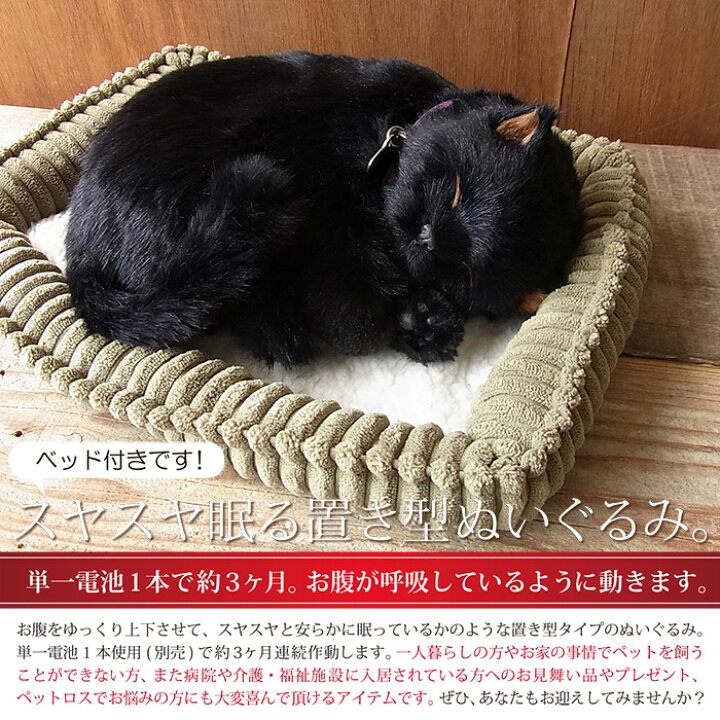 楽天市場 パーフェクトペット 黒猫 ぬいぐるみ 猫 ねこ ネコ リアル 本物 そっくり ニニアンドキノ