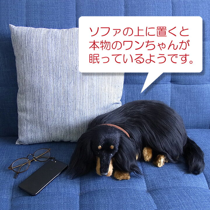 楽天市場 パーフェクトペット 大サイズ ダックス ロング ブラックタン ぬいぐるみ 犬 いぬ イヌ リアル 本物 そっくり ニニアンドキノ 楽天市場 パーフェクトペット 大サイズ ダックス ロング ブラックタン ぬいぐるみ 犬 いぬ イヌ リアル 本物 そっくり ニニアンドキノ