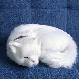 楽天市場 猫 ぬいぐるみ 白の通販