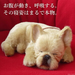 悤Ɍċz p[tFNgybg (TCY) t`uhbO (N[) tu ʂ A {   ybgX  Mtg v[g 蕨 Ce