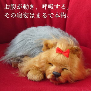 悤Ɍċz p[tFNgybg (TCY) [NVeA (u[S[h) ʂ A {   ybgX  Mtg v[g 蕨 CeA 