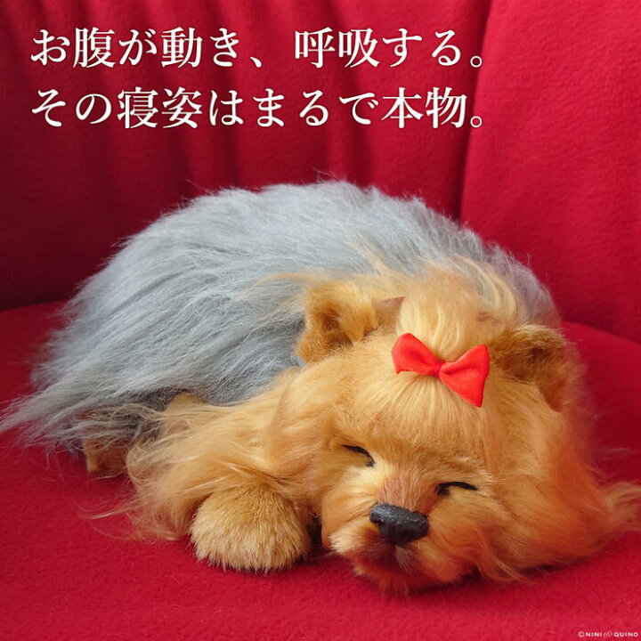 楽天市場】眠るように呼吸する パーフェクトペット (小サイズ 
