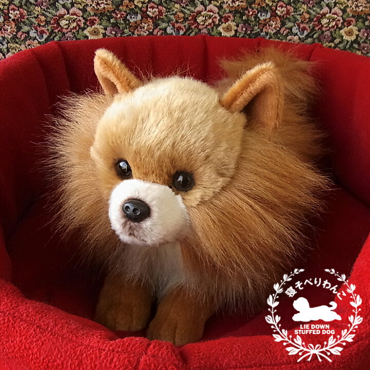 楽天市場 簡易ラッピングでお届け ニニアンドキノ 寝そべりわんこ ポメラニアン ぬいぐるみ 犬 いぬ イヌ リアル 本物 そっくり ニニアンドキノ