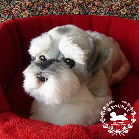 ニニアンドキノ 寝そべりわんこ シュナウザー ぬいぐるみ 犬 いぬ イヌ リアル 本物 そっくり 動物 アニマル 抱き枕 おもちゃ ペット ペットロス 大きい 小さい 抱っこ