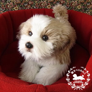 jjAhLm Qׂ V[Y[ ʂ V[EY[   Ck A {   Aj}   ybg ybgX 傫  