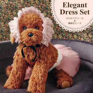 yʃhXZbgzgCv[h bh ʂ A bTCYŃ|[YςbbhbybgXEDȕւ̃MtgɂbjjAhLm