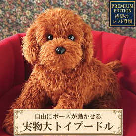 【特別色レッド】トイプードル ぬいぐるみ リアル 犬｜実物大サイズでポーズが変えられる｜レッド｜ペットロス・犬好きな方へのギフトにも｜ニニアンドキノ