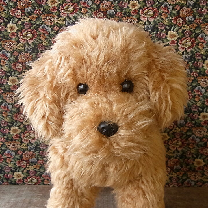 楽天市場 実物大 ポーズが変えられる トイプードル アプリコット レッド 犬 ぬいぐるみ リアル 動く おもちゃ トイプー 犬のぬいぐるみ 子犬 小型犬 動物 かわいいぬいぐるみ いぬ 犬雑貨 動くぬいぐるみ 介護 癒し 愛犬 クリスマス 出産 祝い ギフト プレゼント 本物