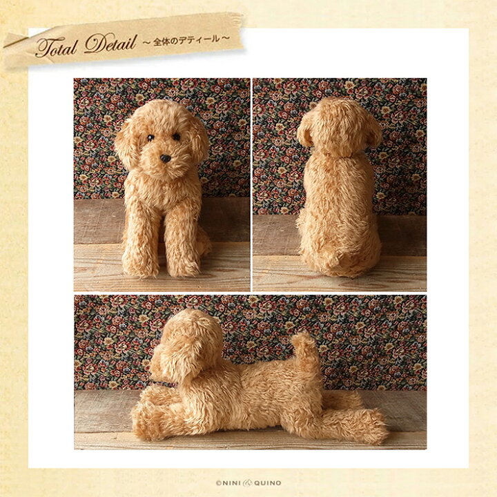 楽天市場】トイプードル ぬいぐるみ リアル 犬｜実物大サイズでポーズ 