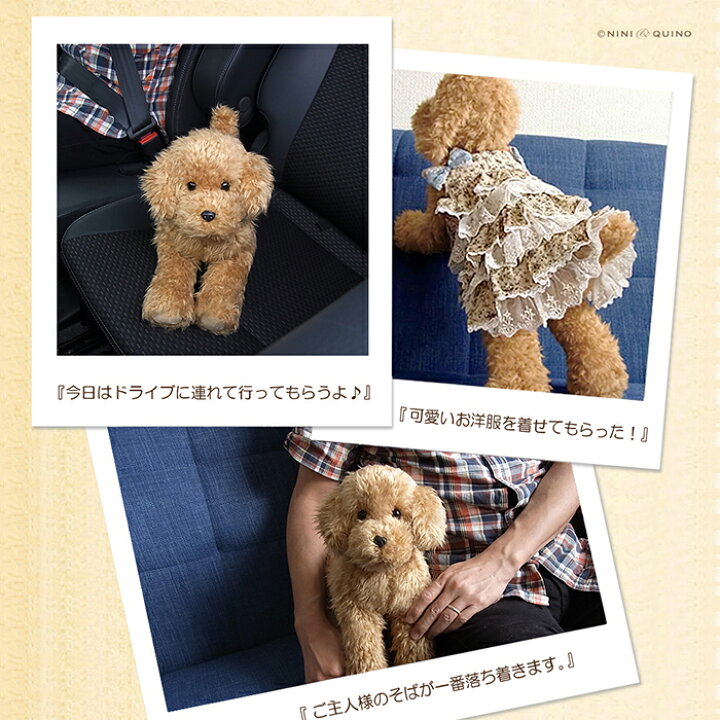楽天市場】トイプードル ぬいぐるみ リアル 犬｜実物大サイズでポーズ 