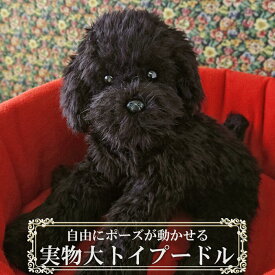 トイプードル ぬいぐるみ リアル 犬｜実物大サイズでポーズが変えられる｜黒/ブラック｜ペットロス・犬好きな方へのギフトにも｜ニニアンドキノ