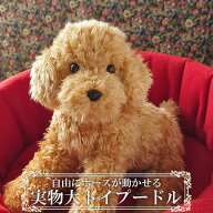 トイプードル ぬいぐるみ リアル 犬｜実物大サイズでポーズが変えられる｜アプリコット（茶）｜ペットロ…
