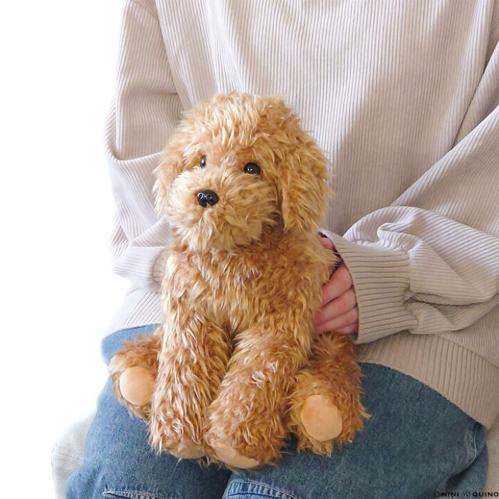 楽天市場】トイプードル ぬいぐるみ リアル 犬｜実物大サイズでポーズ 