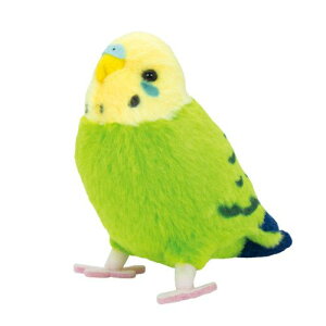 _9܂ł̒ő^yƂ̂ ZLZCCRiO[j ʂ݁z CR IE ʂ A {  ybg