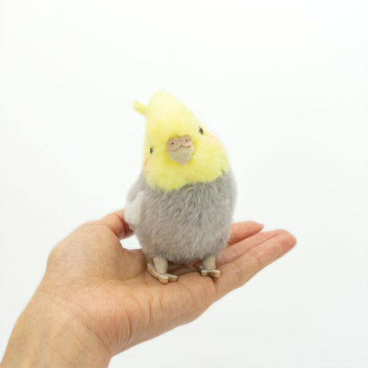楽天市場】＼平日9時までの注文で即日発送／【ことりのね オカメインコ 