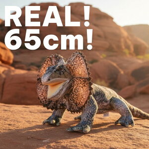 WILD REALS �G���}�L�g�J�Q 65cm �ʂ������ | ���A�� �{����������
