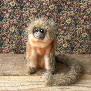 _9܂ł̒ő^yHANSA eBeBL[18 ʂ݁z  T ʂ A {  ybg