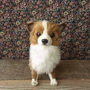 _9܂ł̒ő^yHANSA OR[g`31ibhzCgj ʂ݁z  Ck ʂ A {  ybg