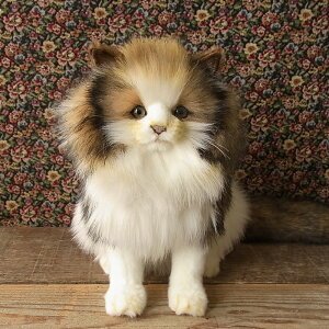 _9܂ł̒ő^yHANSA mEF[WtHXgLbg35 ʂ݁zL ˂ lR ʂ A {  ybg