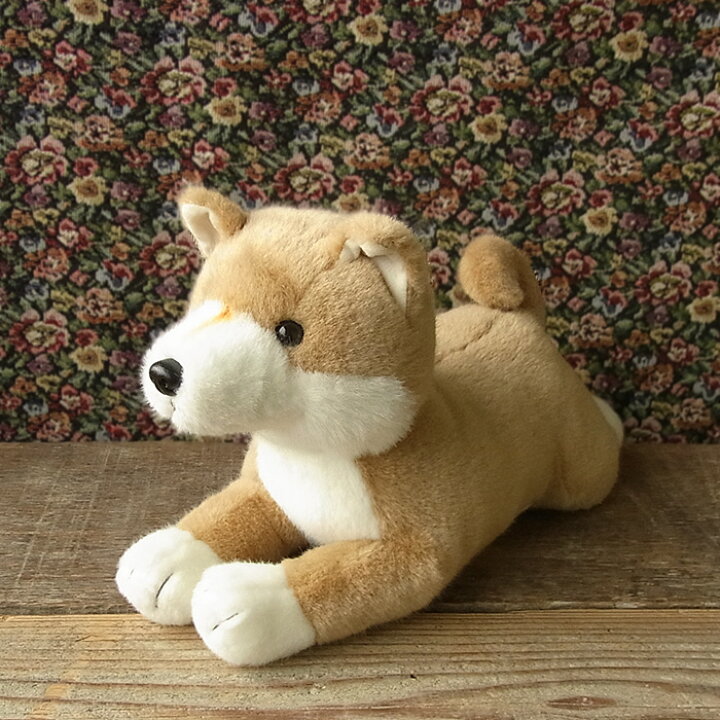 楽天市場 簡易ラッピングでお届け スターチャイルド 柴犬 這い型 ぬいぐるみ 日本製 犬 いぬ イヌ ぬいぐるみ リアル 本物 そっくり ペット ニニアンドキノ