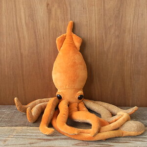 _9܂ł̒ő^yTST _CIECJiuEj ʂ݁zG  CJʂ A {  ybg