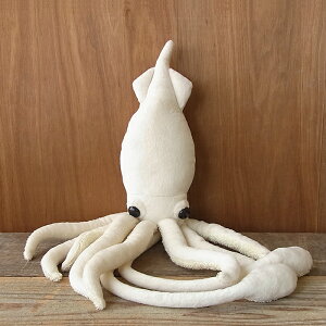 _9܂ł̒ő^yTST _CIECJizCgj ʂ݁zG  CJʂ A {  ybg