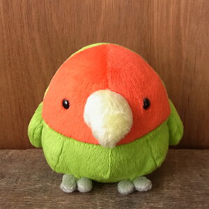 �yTST ���j���}�� M�T�C�Y �R�U�N���C���R �ʂ�����݁z�� �C���R �ʂ������ ���A�� �{�� �������� �y�b�g