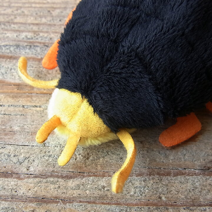 楽天市場 Tst リトルビーンズ ゲンゴロウ ぬいぐるみ 虫 昆虫 ぬいぐるみ リアル 本物 そっくり ペット ニニアンドキノ 楽天市場 Tst リトルビーンズ ゲンゴロウ ぬいぐるみ 虫 昆虫 ぬいぐるみ リアル 本物 そっくり ペット ニニアンドキノ