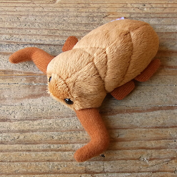楽天市場 Tst リトルビーンズ タガメ ぬいぐるみ 虫 昆虫 ぬいぐるみ リアル 本物 そっくり ペット ニニアンドキノ 楽天市場 Tst リトルビーンズ タガメ ぬいぐるみ 虫 昆虫 ぬいぐるみ リアル 本物 そっくり ペット ニニアンドキノ