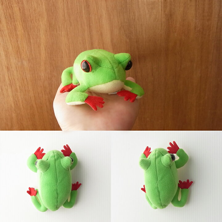 楽天市場 Tst Frog Magnet アカメアマガエル マグネット ぬいぐるみ 蛙 かえる カエル ぬいぐるみ リアル 本物 そっくり ペット ニニアンドキノ