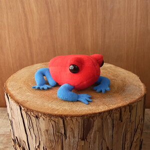 _9܂ł̒ő^yTST Frog magnet C`ShNKG }Olbg ʂ݁z^  JG ʂ A {  ybg v[g Mtg