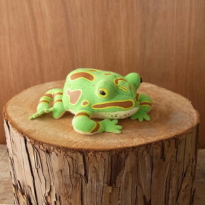 _9܂ł̒ő^yTST Frog magnet xcmKG }Olbg ʂ݁z^  JG ʂ A {  ybg v[g Mtg