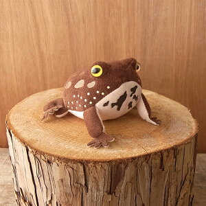 _9܂ł̒ő^yTST Frog magnet AtNKG }Olbg ʂ݁z^  JG ʂ A {  ybg v[g Mtg