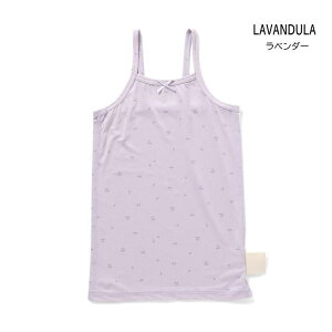 y10zZ[ ampersandyApThzЂ bV  Ci[L~ylC q xr[ LbY    n Vv   { [߃JbgC [