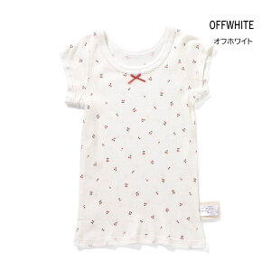 y10zZ[ ampersandyApThzu  ylC q LbY xr[    Ci[  P[L  { 킢 ̎q salezL353065