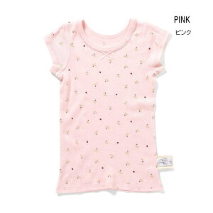 y10zZ[ ampersandyApThzu  ylC q LbY xr[    Ci[  P[L  { 킢 ̎q salezL353065