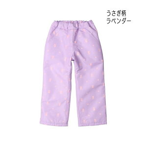 JollyJuryyW[W[z  gRbg Xm[pcy'24 LbY xr[  Y{ Y{  ϐ2000mm hH OV V XL[ Xm{   킢 