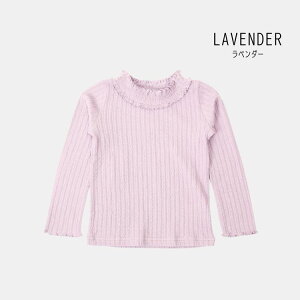 y110 cmzyzzZ[ La poche biscuityE|VFErXLCz TVcylC q LbY gbvX  O T T n Vv t 킢  ̎q sale 50% 