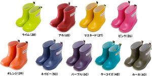 y{zstampleyX^vz Cu[c LbY yq WjA CObY CV[Y C J  Xm[  X^v lC ̎q j̎q w ctz75005