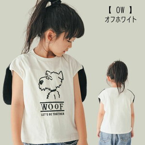 y40 % zZ[ nico hratyjRt[gz Ȃ肫 TVcylC q LbY gbvX  T t`X[u  Aj}  Ck dog t j[N I JWA fC