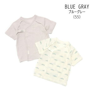 y10%zZ[ petit mainyveB}Cz_ ZylC q xr[ Ԃ V   Ci[ n  vg    킢 j̎q ̎q 2P 2g Zbg M