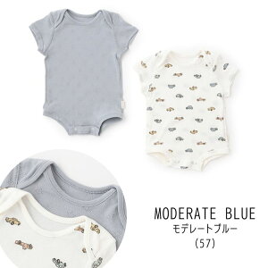 y10z Z[ petit mainyveB}Czy_z{fB[X[cylC q xr[ Ԃ   Ci[  n  n[g ACX   킢 j̎q ̎q 2P 2