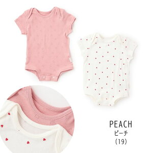 y10z Z[ petit mainyveB}Czy_z{fB[X[cylC q xr[ Ԃ   Ci[  n  n[g ACX   킢 j̎q ̎q 2P 2