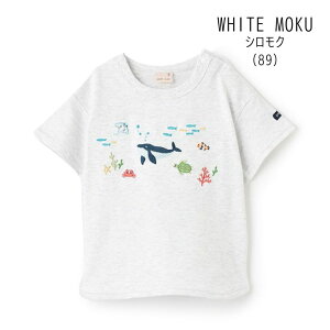 y20 %zZ[ petit mainyveB}CzC̐ hイ  TVcylC q xr[ LbY gbvX T hJ  j̎qz9552249