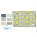 楽天市場 店舗からのお知らせ にんじゃがｋｉｄｓ