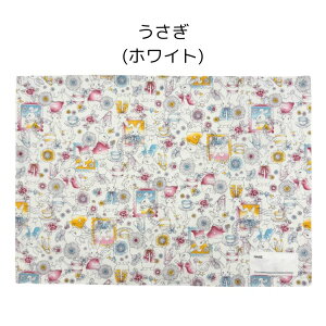 4_ȏőy݌v̔50,000zyɂ񂶂ႪKIDSIWiz`}bgijyq LbY  ʉ ʊw tL Hӂ ct ۈ牀 wZ  w {