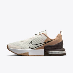 NIKE iCL GA }bNX At@ g[i[ 6 FQ1833-105 g[jOV[Y YEjZbNX