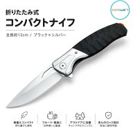 折りたたみ式フルーツナイフ 全長約13cm ブラック コンパクト 果物ナイフ ペティナイフ アウトドア調理 …
