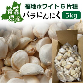 ＼お買い物マラソン中 15％OFF！／ 青森 にんにく バラ 訳あり 新物 国産 ニンニク 5kg 送料無料 Y常